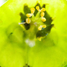 界面友好直观的网络攻击软件